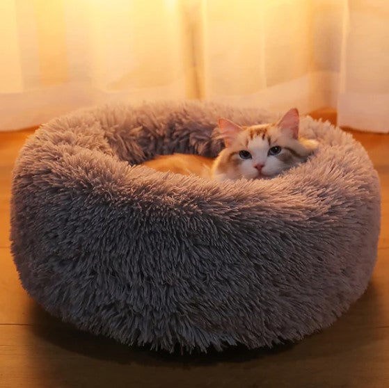 PetLove Plush Bed 